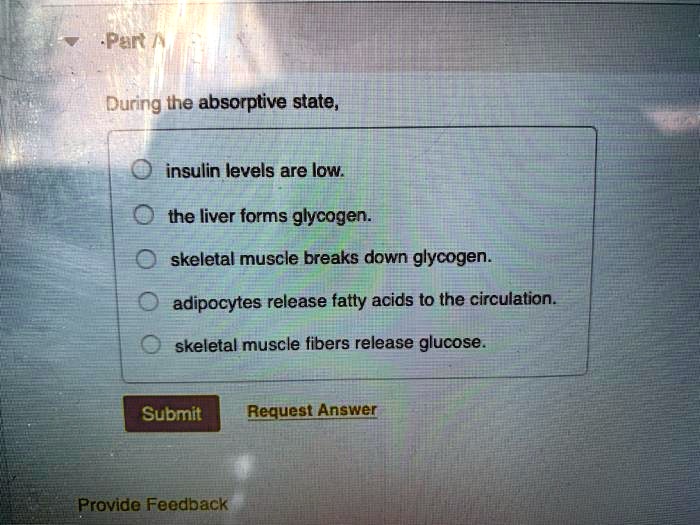 During the absorptive state,

insulin levels are low.
the liver forms glycogen.
skeletal muscle breaks down glycogen.
adipocytes release fatty acids to the circulation.
skeletal muscle fibers release glucose.