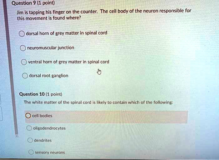 Question 9 (1 point)
Jim is tapping his finger on the counter. The cell body of the neuron responsible for
this movement is found where?
dorsal horn of grey matter in spinal cord
neuromuscular junction
ventral horn of grey matter in spinal cord
dorsal root ganglion
Question 10 (1 point)
The white matter of the spinal cord is likely to contain which of the following:
cell bodies
oligodendrocytes
dendrites
sensory neurons