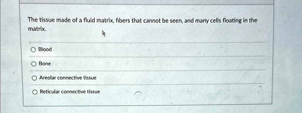 The tissue made of a fluid matrix, fibers that cannot be seen, and many ...