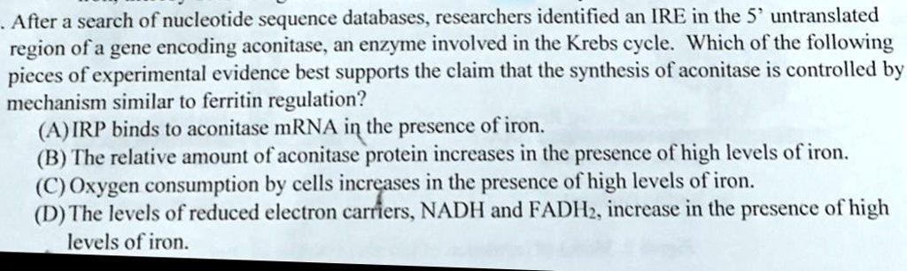 After a search of nucleotide sequence databases, researchers identified an IRE in the 5' untranslated region of a gene encoding aconitase, an enzyme involved in the Krebs cycle. Which of the following pieces of experimental evidence best supports the claim that the synthesis of aconitase is controlled by mechanism similar to ferritin regulation?
(A) IRP binds to aconitase mRNA in the presence of iron.
(B) The relative amount of aconitase protein increases in the presence of high levels of iron.
(C) Oxygen consumption by cells increases in the presence of high levels of iron.
(D) The levels of reduced electron carriers, NADH and FADH2, increase in the presence of high levels of iron.