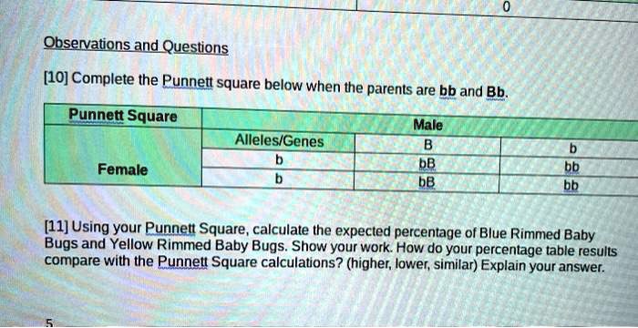 SOLVED: Text: Observations And Questions [10] Complete The Punnett ...