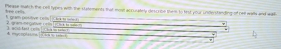 Please match the cell types with the statements that most accurately describe them to test your understanding of cell walls and wall-free cells.
1. gram-positive cells (Click to select)
2. gram-negative cells (Click to select)
3. acid-fast cells (Click to select)
4. mycoplasms (Click to select)