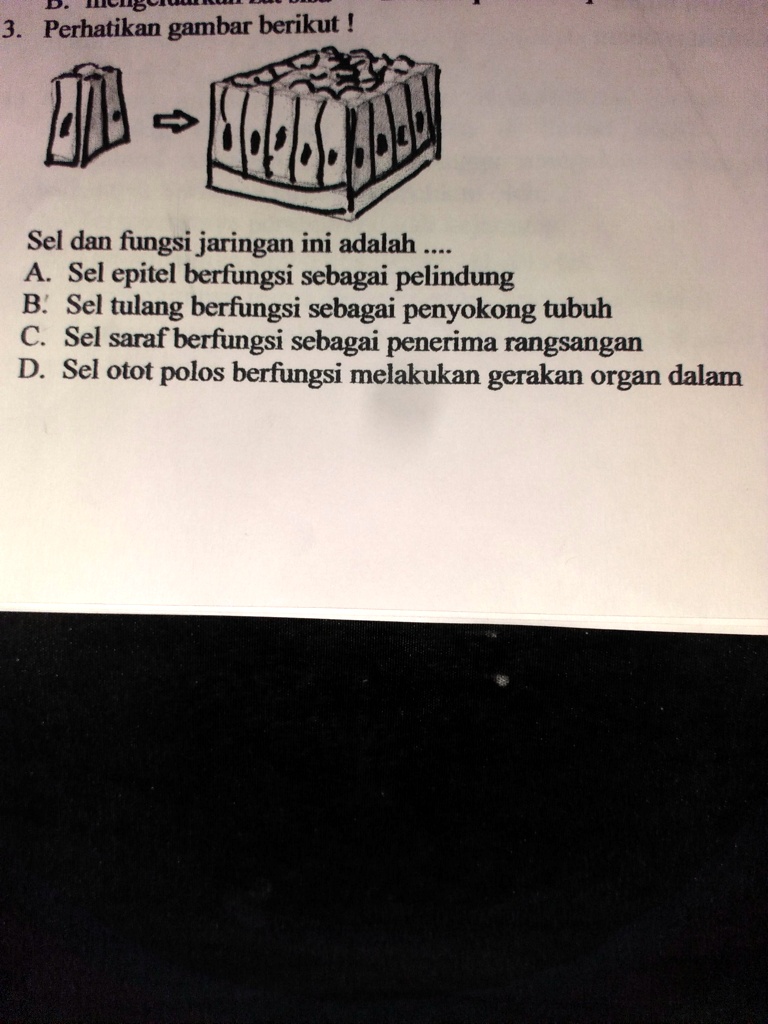 SOLVED: Sel Dan Fungsinya Gambar Ini Apa? ILCLO# 3. Perhatikan Gambar ...