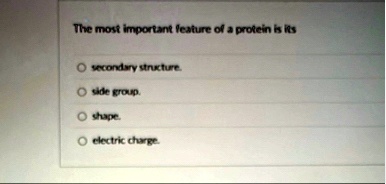 the most important feature of a protein is its secondary structure side group shape electric charge 46167