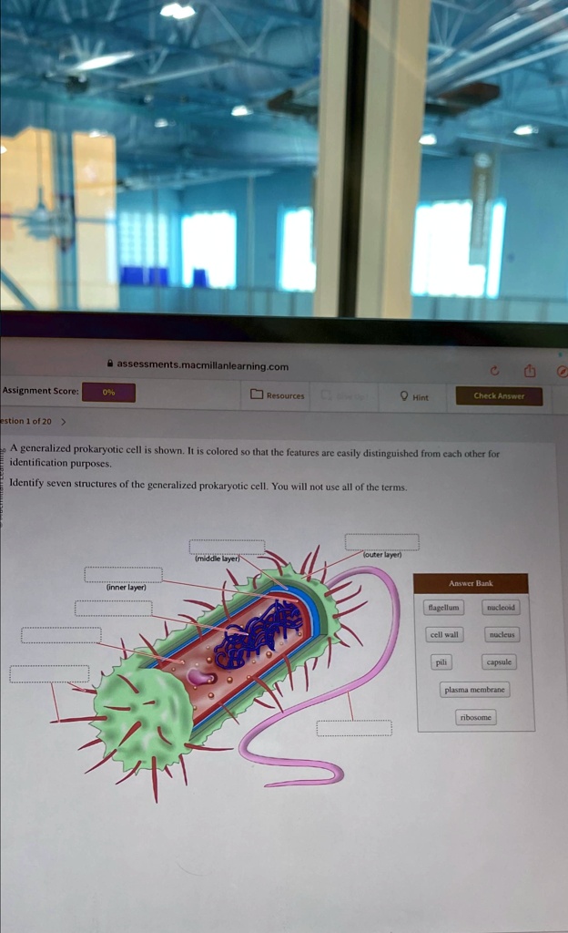 SOLVED Assessment Score Resources Hint Question 1 of 20 A generalized