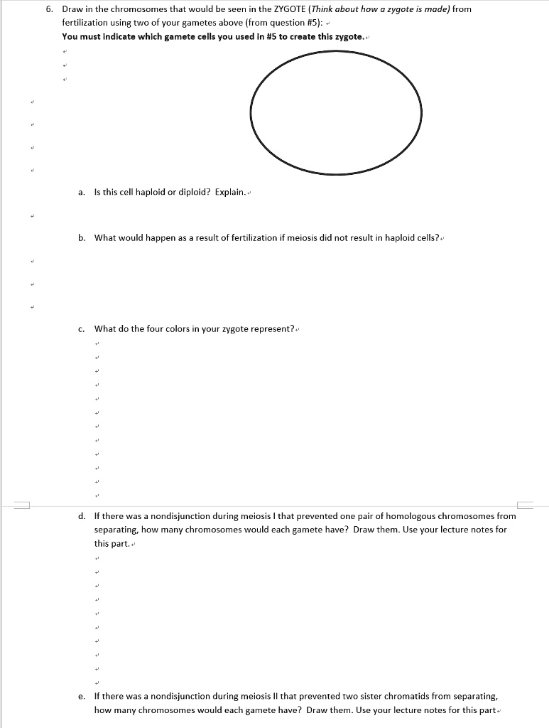 SOLVED: Draw in the chromosomes that would be seen the ZYGOTE (Think ...