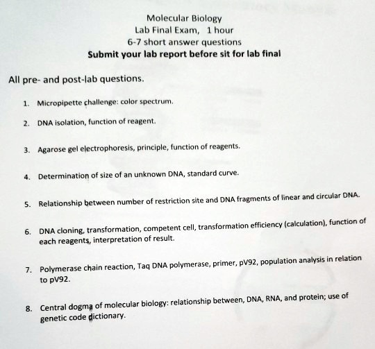 Solved: Molecular Biology Lab Final Exam; Your Short Answer Questions 