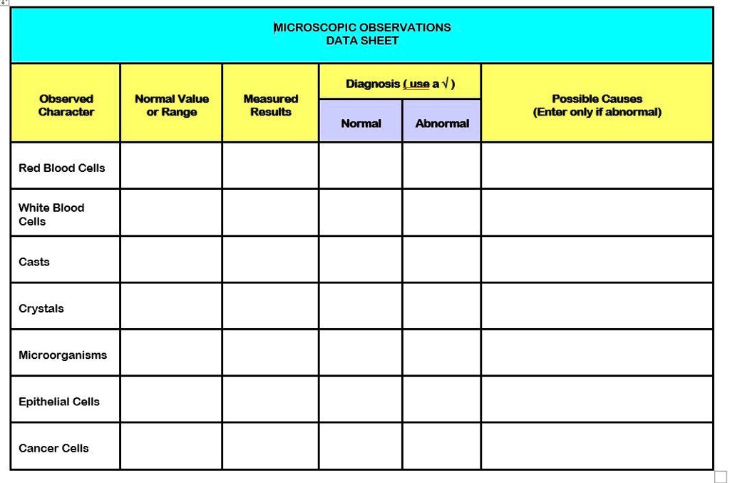 SOLVED: MICROSCOPIC OBSERVATIONS DATA SHEET Diagnosis (usea V) Observed ...