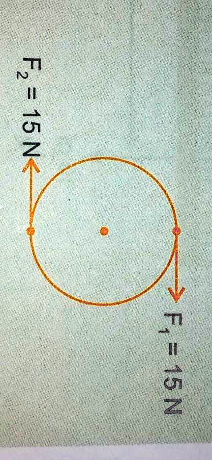 F2 = 15N F1 = 15N