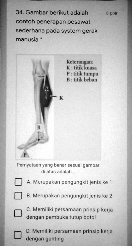 SOLVED: Help Me Kak Boleh Milih Jawabannya Lebih Dari Satu Kok Tapi ...