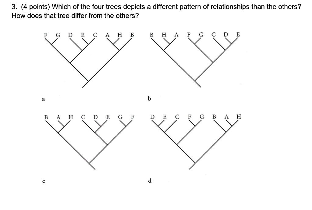 3. (4 points) Which of the four trees depicts a different pattern of relationships than the others?
How does that tree differ from the others?

F G D E C A H B B H A F G C D E
a b
B A H C D E G F D E C F G B A H
c d