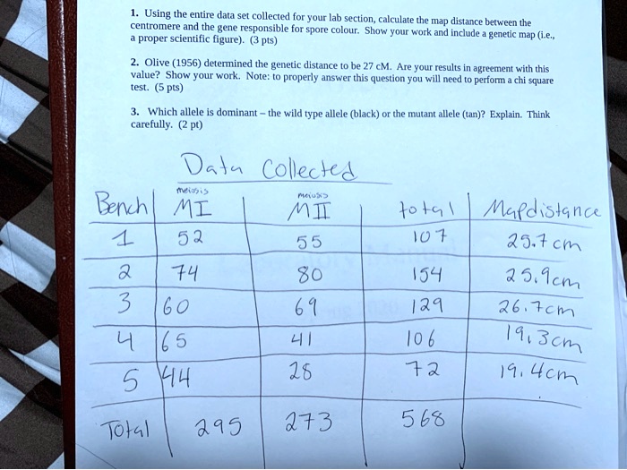 VIDEO solution: Using the entire data set collected for your lab ...