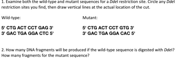 SOLVED: Examine both the wild-type and mutant sequences for Ddel ...