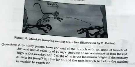 [GET ANSWER] 10m/s 38 Figure 8. Monkey jumping among branches ...