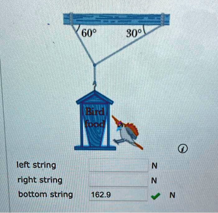 The figure below shows a bird feeder that weighs 162.9 N. The feeder is