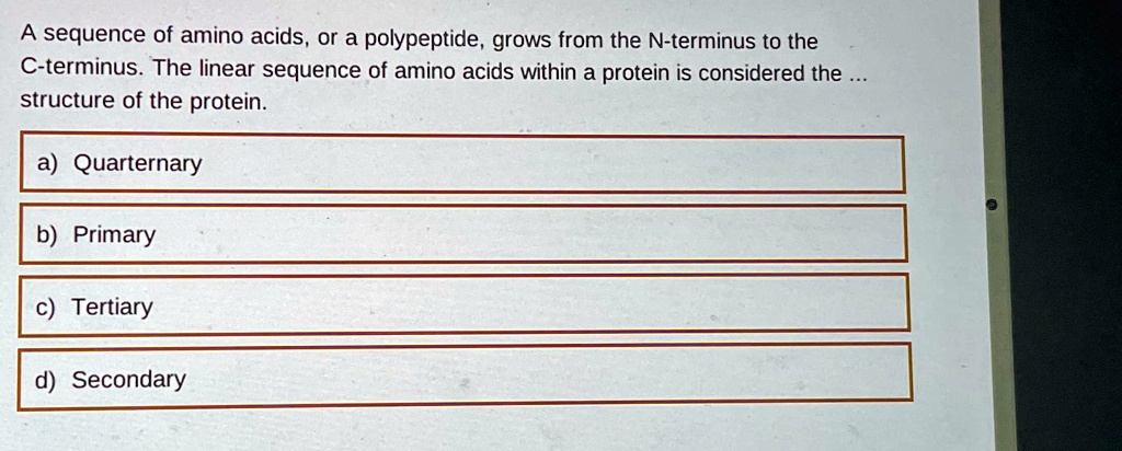 a sequence of amino acids or a polypeptide grows from the n terminus to ...