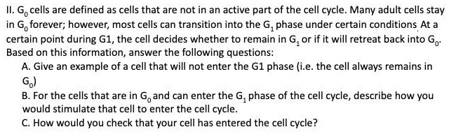 II. G0 cells are defined as cells that are not in an active part of the cell cycle. Many adult cells stay in G0 forever; however, most cells can transition into the G1 phase under certain conditions. At a certain point during G1, the cell decides whether to remain in G1 or if it will retreat back into G0. Based on this information, answer the following questions:
A. Give an example of a cell that will not enter the G1 phase (i.e. the cell always remains in G0)
B. For the cells that are in G0 and can enter the G1 phase of the cell cycle, describe how you would stimulate that cell to enter the cell cycle.
C. How would you check that your cell has entered the cell cycle?