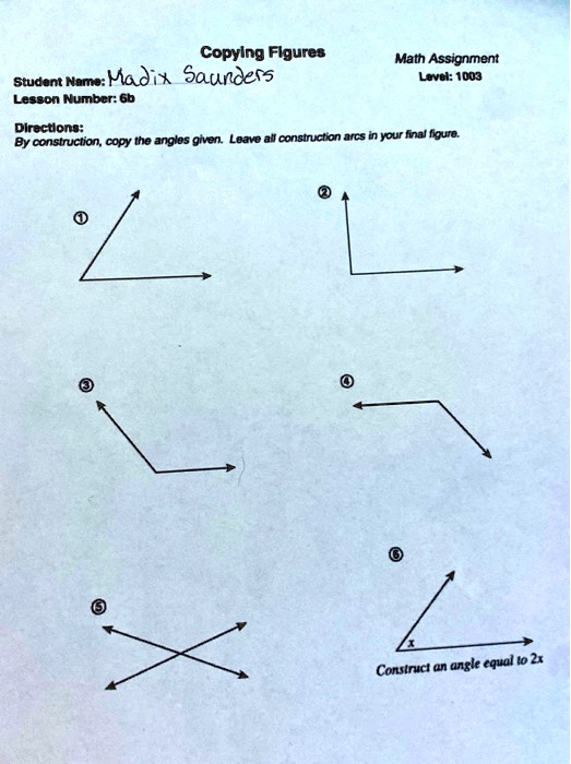 SOLVED: Copying Figures Student Name: Madix Saunders Lesson Number: 6b ...