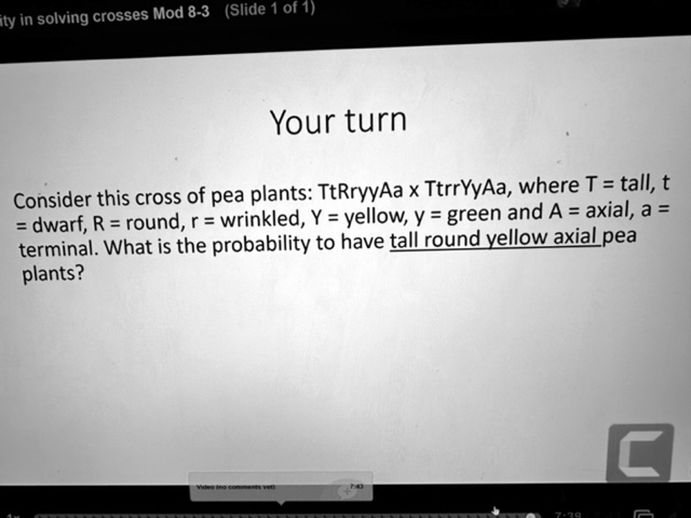 Consider this cross of pea plants: TtRryyAa x TtrrYyAa, where T = tall, t = dwarf, R = round, r = wrinkled, Y = yellow, y = green and A = axial, a = terminal. What is the probability to have tall round yellow axial pea plants?