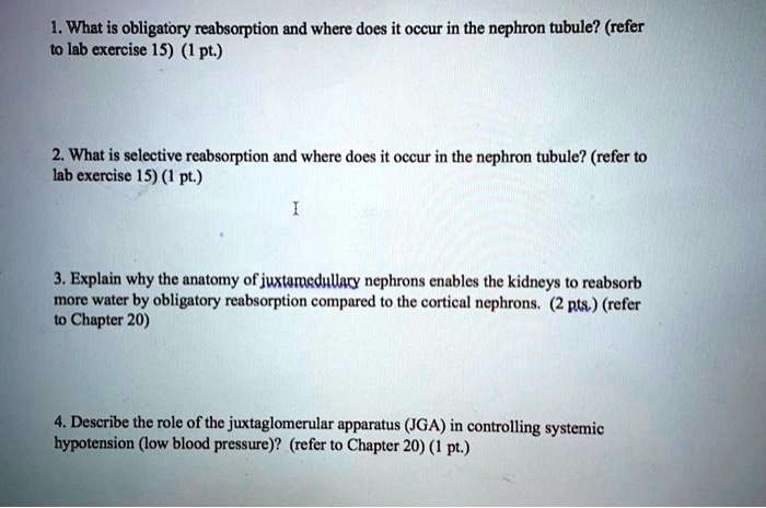 1. What is obligatory reabsorption and where does it occur in the