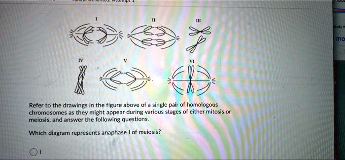 SOLVED: Refer to the drawings in the figure above of a single pair of ...