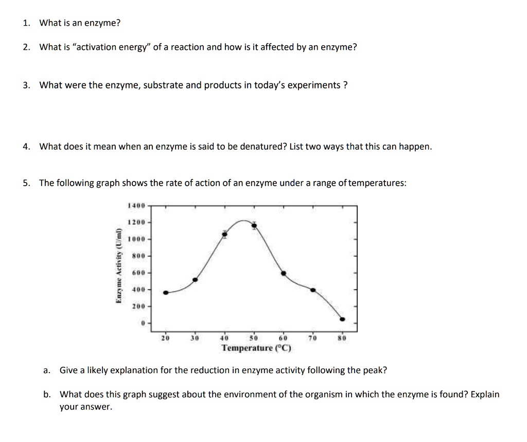 SOLVED What is an enzyme? What is the "activation energy" of a