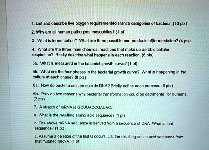 1. List and describe five oxygen requirement/tolerance categories of bacteria. (10 pts)
2. Why are all human pathogens mesophiles? (1 pt)
3. What is fermentation? What are three possible end products of fermentation? (4 pts)
4. What are the three main chemical reactions that make up aerobic cellular respiration? Briefly describe what happens in each reaction. (6 pts)
5a. What is measured in the bacterial growth curve? (1 pt)
5b. What are the four phases in the bacterial growth curve? What is happening in the culture at each phase? (8 pts)
6a. How do bacteria acquire outside DNA? Briefly define each process. (6 pts)
6b. Provide two reasons why bacterial transformation could be detrimental for humans. (2 pts)
7. A stretch of mRNA is GCUUACCGAUAC.
a. What is the resulting amino acid sequence? (1 pt)
b. The above mRNA sequence is derived from a sequence of DNA. What is that sequence? (1 pt)
c. Assume a deletion of the first U occurs. List the resulting amino acid sequence from that mutated mRNA. (1 pt)