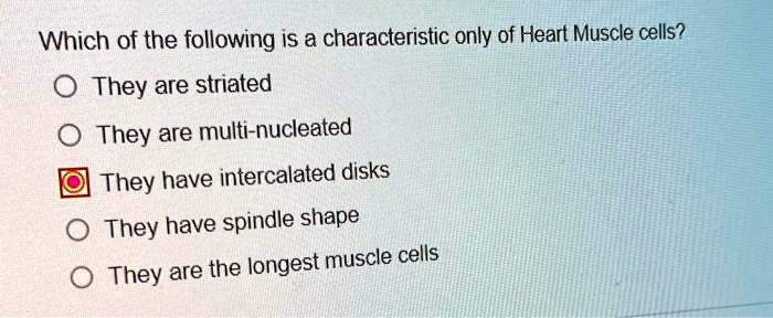 Which of the following is a characteristic only of Heart Muscle cells?
They are striated
They are multi-nucleated
They have intercalated disks
They have spindle shape
They are the longest muscle cells