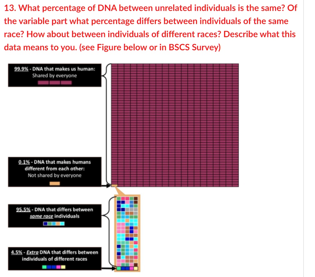 13. What percentage of DNA between unrelated individuals is the same ...