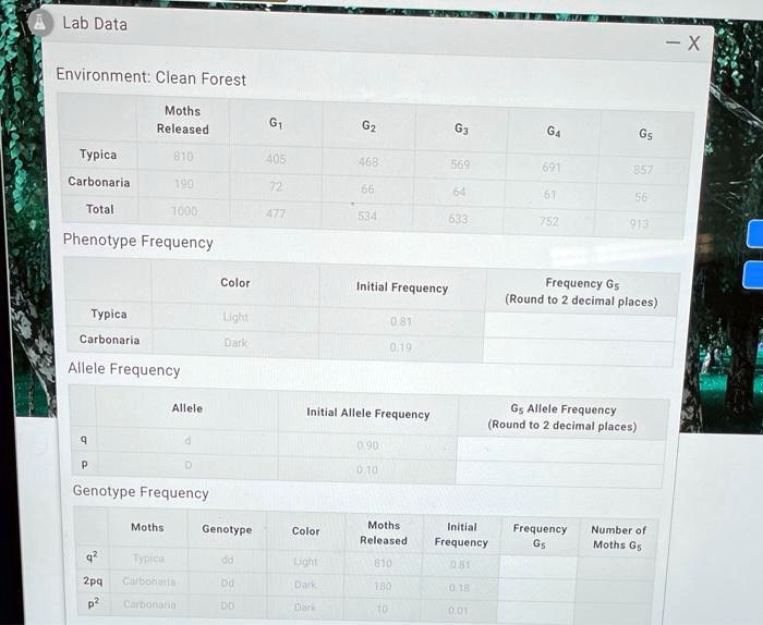 SOLVED Lab Data Environment Clean Forest Moths Released Typica 810