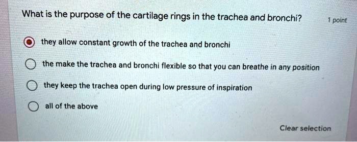 What is the purpose of the cartilage rings in the trachea and bronchi?
they allow constant growth of the trachea and bronchi
the make the trachea and bronchi flexible so that you can breathe in any position
they keep the trachea open during low pressure of inspiration
all of the above