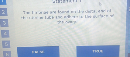 Statement 1
The fimbriae are found on the distal end of the uterine tube and adhere to the surface of the ovary.
FALSE
TRUE