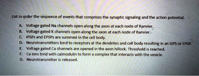 List in order the sequence of events that comprises the synaptic signaling and the action potential.

A. Voltage gated Na channels open along the axon at each node of Ranvier.
B. Voltage gated K channels open along the axon at each node of Ranvier.
C. IPSPs and EPSPs are summed in the cell body.
D. Neurotransmitters bind to receptors at the dendrites and cell body resulting in an ISPS or EPSP.
E. Voltage gated Ca channels are opened in the axon hillock. Threshold is reached.
F. Ca ions bind with calmodulin to form a complex that interacts with the vesicle.
G. Neurotransmitter is released.