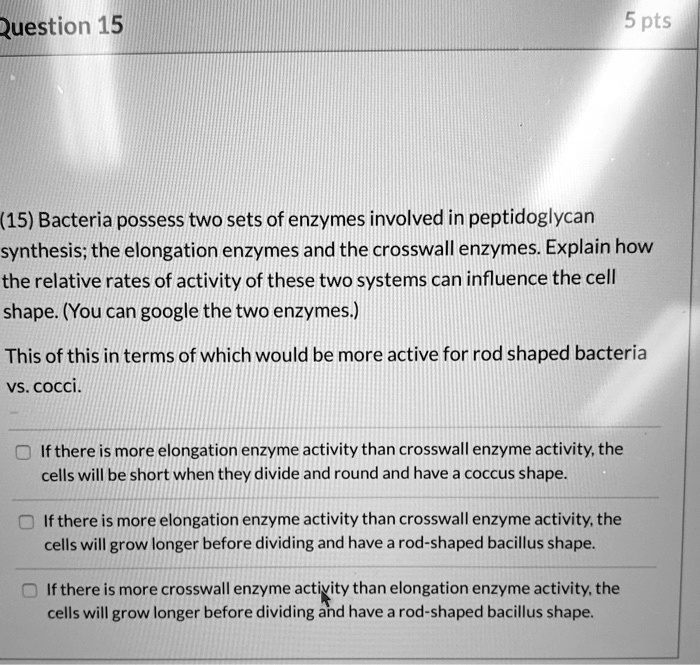(15) Bacteria possess two sets of enzymes involved in peptidoglycan synthesis; the elongation enzymes and the crosswall enzymes. Explain how the relative rates of activity of these two systems can influence the cell shape. (You can google the two enzymes.)

This of this in terms of which would be more active for rod shaped bacteria vs. cocci.

If there is more elongation enzyme activity than crosswall enzyme activity, the cells will be short when they divide and round and have a coccus shape.

If there is more elongation enzyme activity than crosswall enzyme activity, the cells will grow longer before dividing and have a rod-shaped bacillus shape.

If there is more crosswall enzyme activity than elongation enzyme activity, the cells will grow longer before dividing and have a rod-shaped bacillus shape.