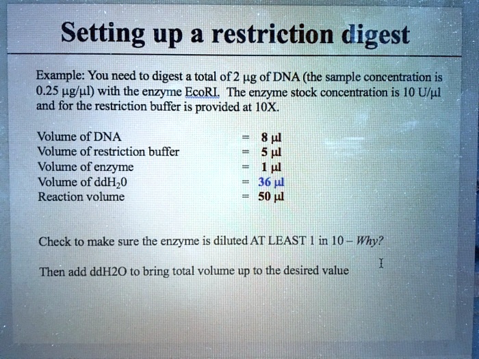 SOLVED Setting up a restriction digest Example You need to digest a