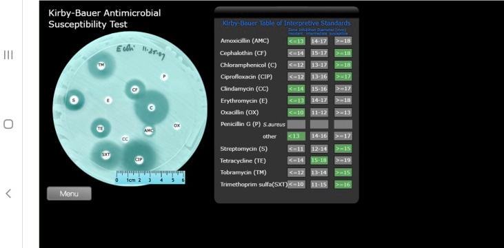 SOLVED: Kirby-Bauer Antimicrobial Susceptibility Test TOY Bduai alenplelyd  Sturicurd Hcntonenetae E44