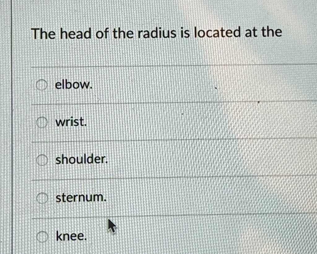 The head of the radius is located at the
elbow.
wrist.
shoulder.
sternum.
knee.