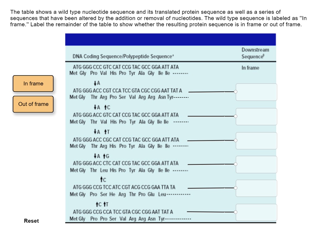 SOLVED: The table shows a wild-type nucleotide sequence and its ...