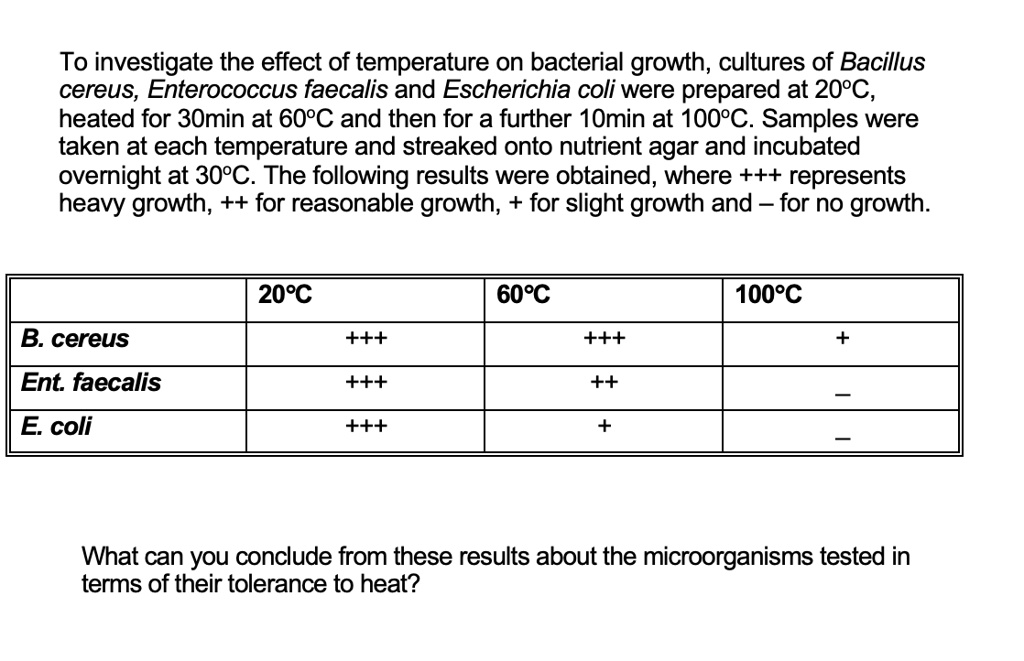 SOLVED:To investigate the effect of temperature on bacterial growth ...