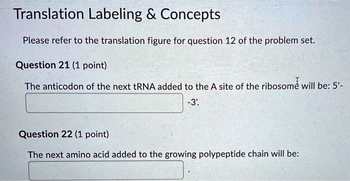 SOLVED: Translation Labeling Concepts Please refer to the translation ...