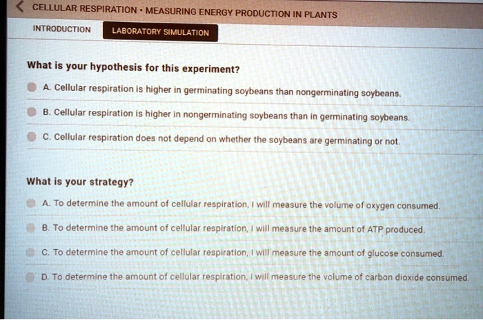 hypothesis for cellular respiration experiment