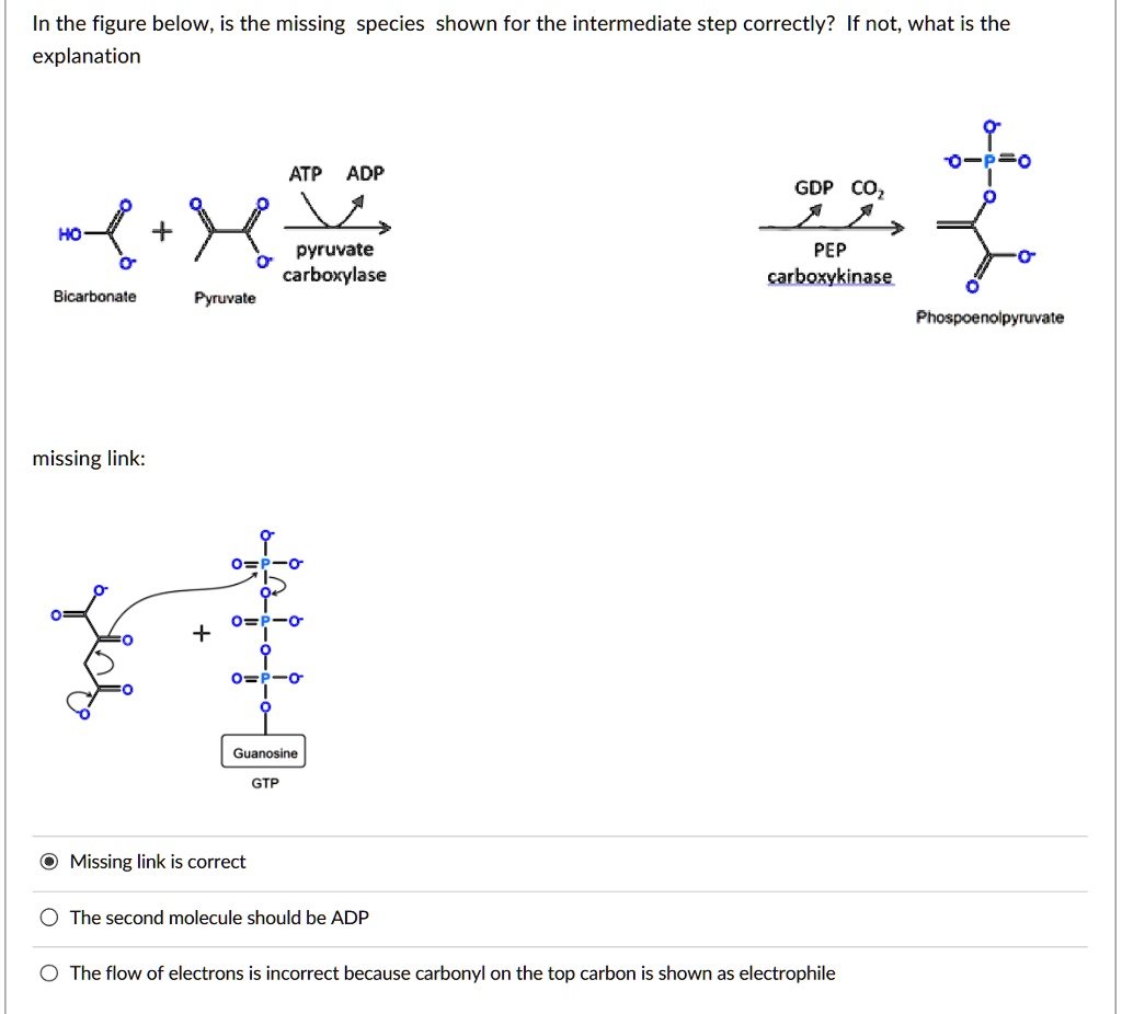 SOLVED: In the figure below, is the missing species shown for the ...