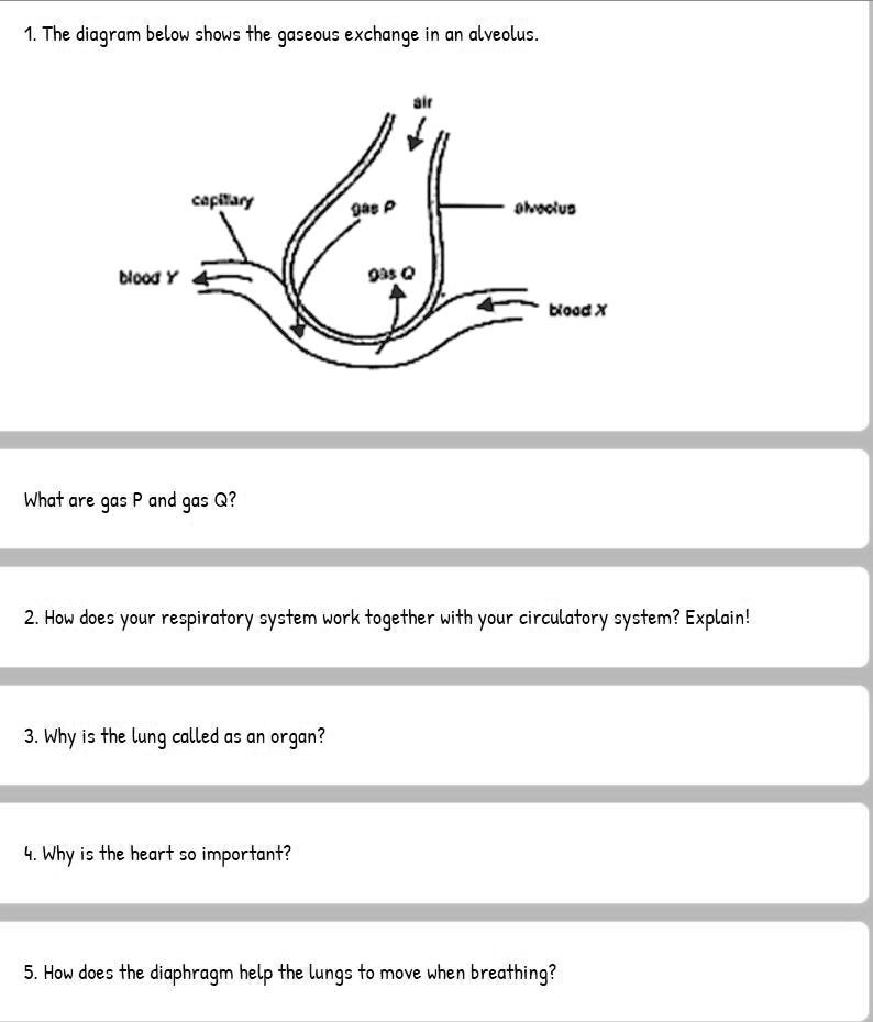 SOLVED The diagram below shows the gaseous exchange in an alveolus. EaFi4q 0a8 0 oxygen Elor Y