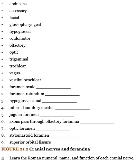 SOLVED: Learn the Roman numeral, name, and function of each cranial ...