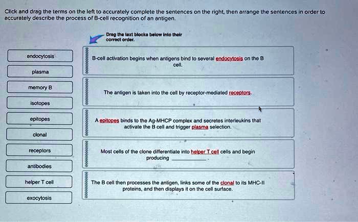 SOLVED: Text: Click and drag the terms on the left to accurately ...