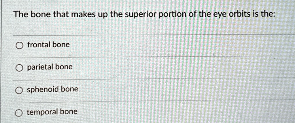 The bone that makes up the superior portion of the eye orbits is the ...