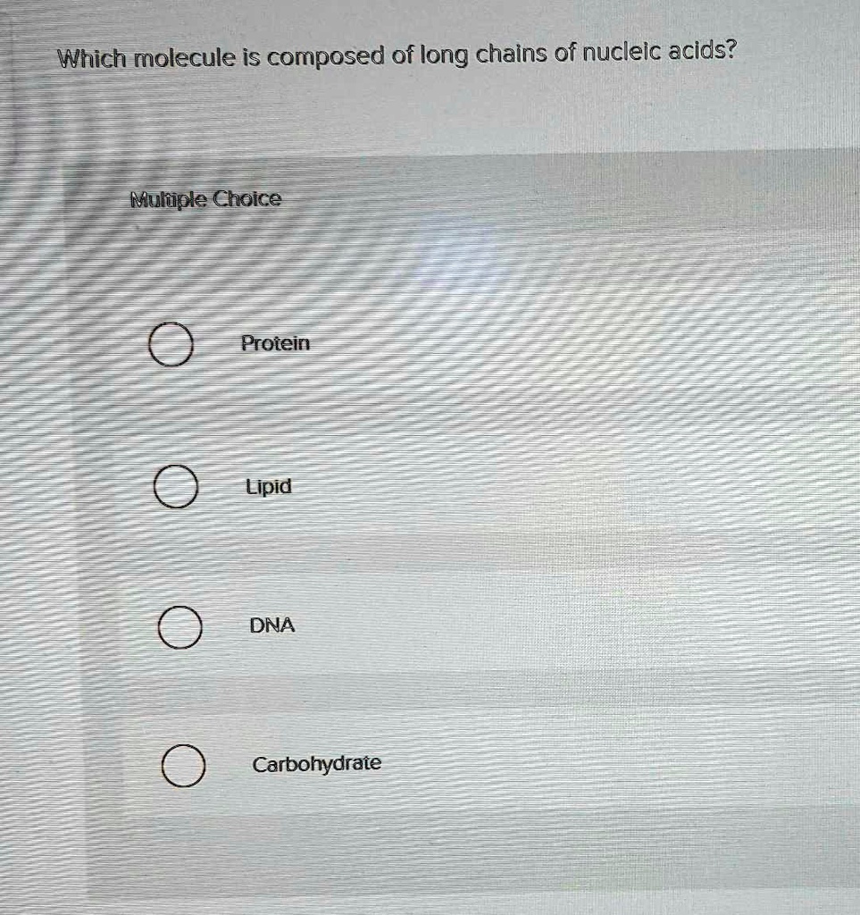 SOLVED Which molecule is composed of long chains of nucleic acids