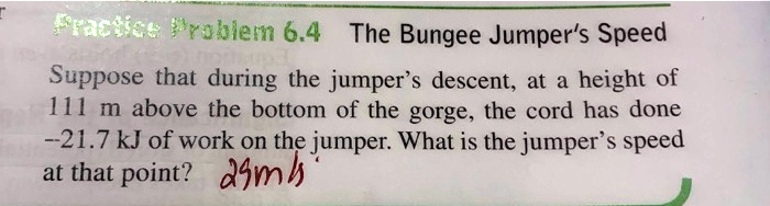 Practice Problem 6.4: The Bungee Jumper's Speed Suppose That During The ...