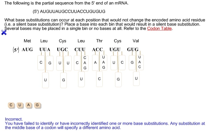 SOLVED: The following is the partial sequence from the 5 end of an mRNA ...