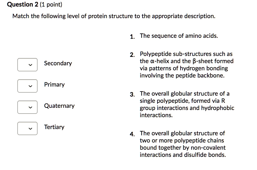 Match the following level of protein structure to the appropriate description.

Secondary
Primary
Quaternary
Tertiary

1. The sequence of amino acids.
2. Polypeptide sub-structures such as the ?-helix and the ?-sheet formed via patterns of hydrogen bonding involving the peptide backbone.
3. The overall globular structure of a single polypeptide, formed via R group interactions and hydrophobic interactions.
4. The overall globular structure of two or more polypeptide chains bound together by non-covalent interactions and disulfide bonds.